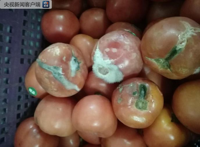 上海一国际学校后厨现变质洋葱长毛番茄 官方回应